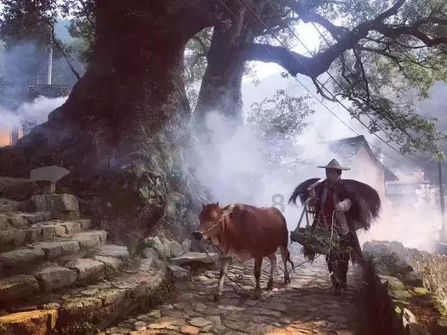 淋雨喷头试水机 淋浴蓬头在线试水装置