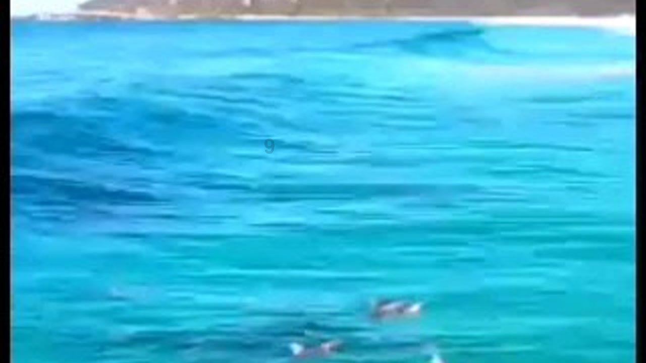 热血进行曲