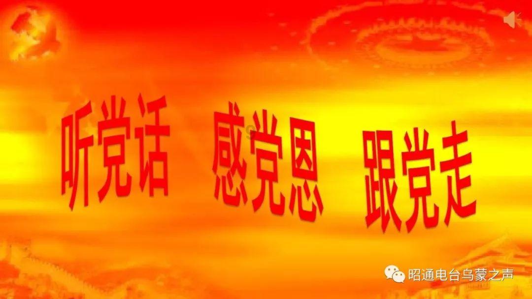 【湖北优秀劳务品牌海报联展】通山护工