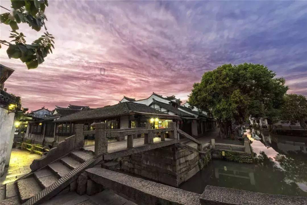 救援萌老虎