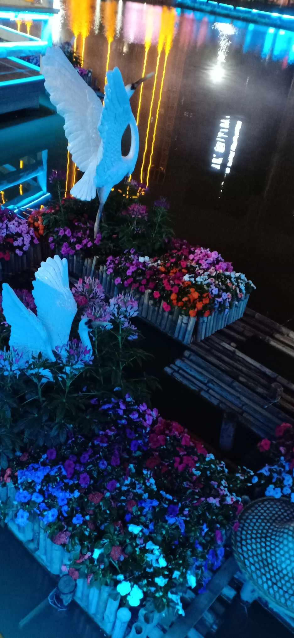*ST左江(300799)涉嫌重大财务造假,股民索赔分析